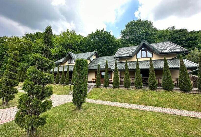 Отель поляна купіль