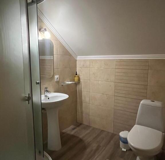 Отель поляна купіль