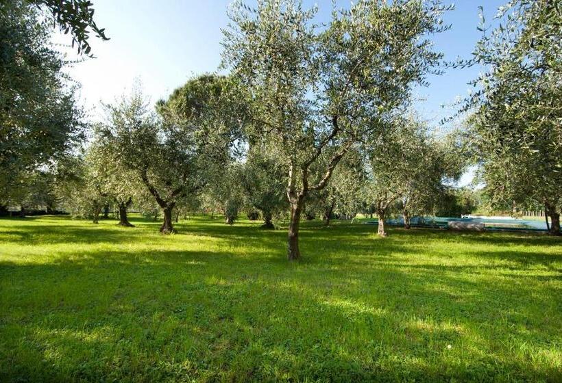 호텔 Agrigturismo Monte Cicogna