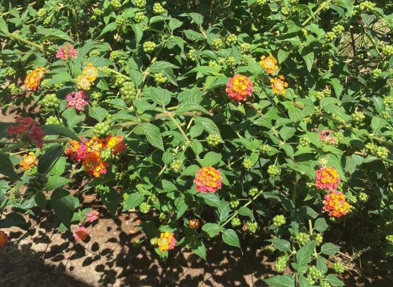 هتل Agriturismo Baratz