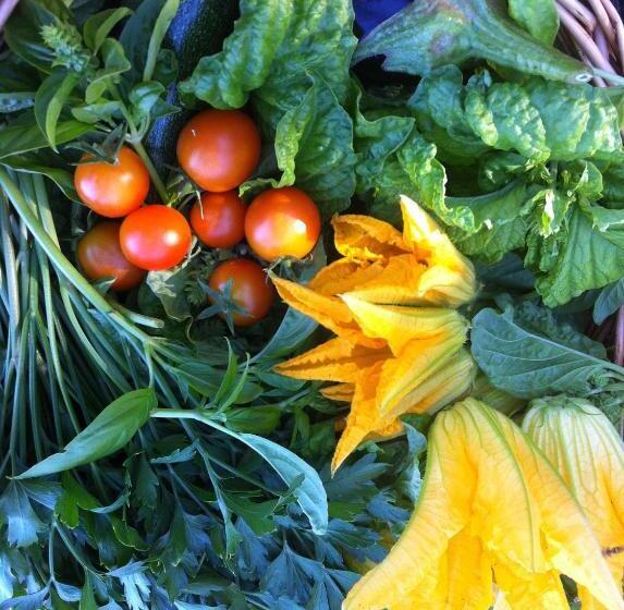 هتل Agriturismo Baratz