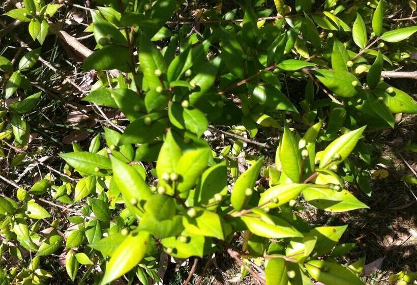 هتل Agriturismo Baratz