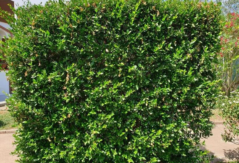 هتل Agriturismo Baratz