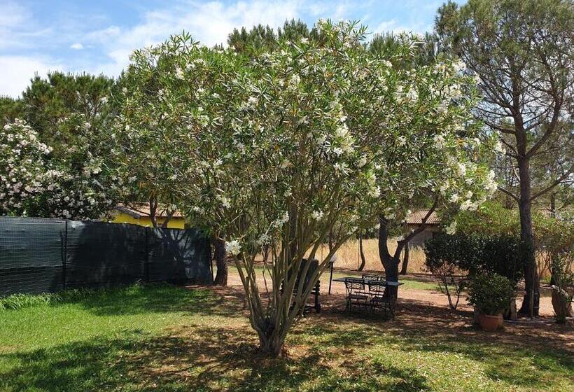 هتل Agriturismo Baratz