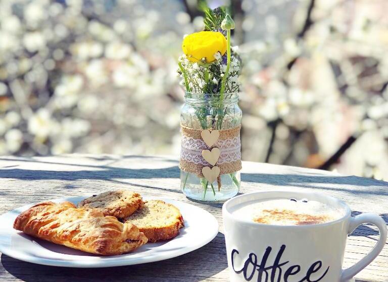 Отель Agriturismo Casa Turchetti