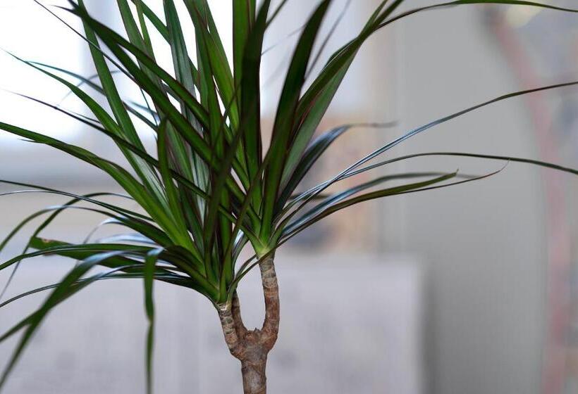 호텔 Agriturismo Cascina Graziosa