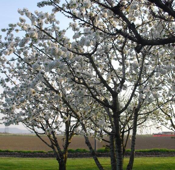 酒店 Agriturismo La Lupa