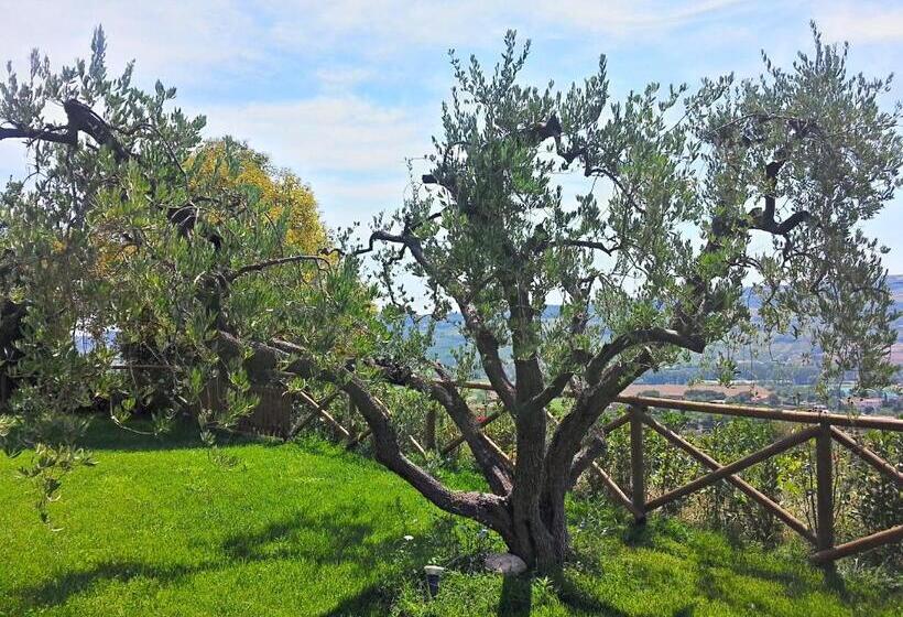 فندق Agriturismo Monte Maggio