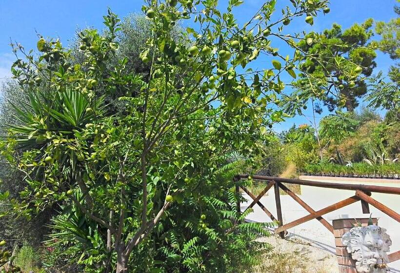 فندق Agriturismo Monte Maggio