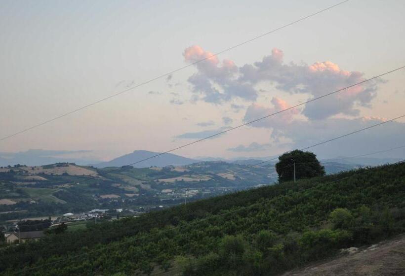 فندق Agriturismo Monte Maggio