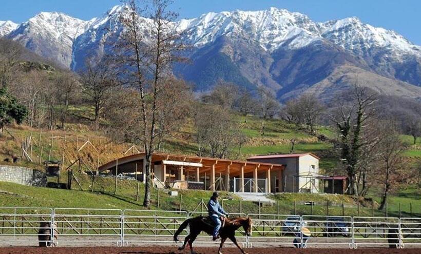 ホテル Albergo Elisa