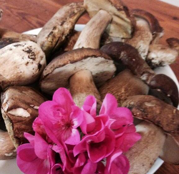 ホテル Albergo Elisa