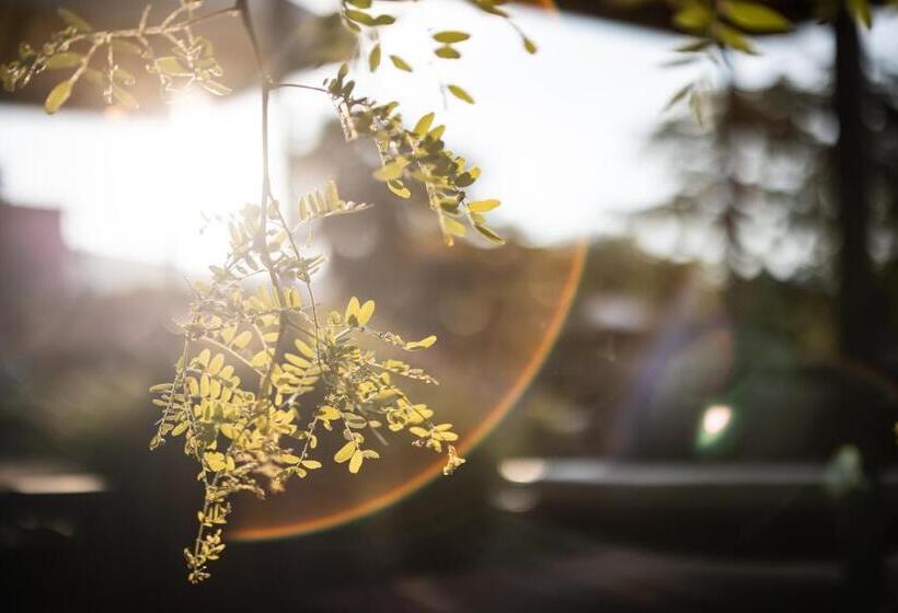 فندق Alpiana   Green Luxury Dolce Vita