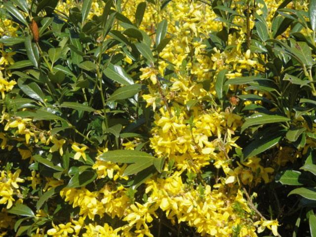 فندق Au Vieux Moulin