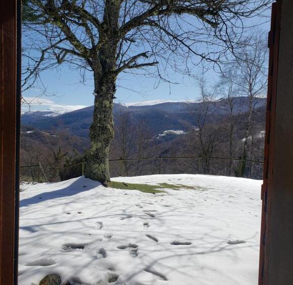 호텔 Auberge Les Myrtilles