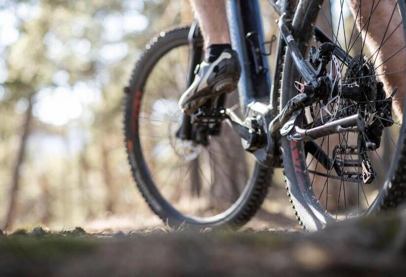 Отель Belvedere   Fine Dining, Hideaway & Spa