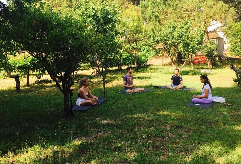 فندق Casa Do Páteo