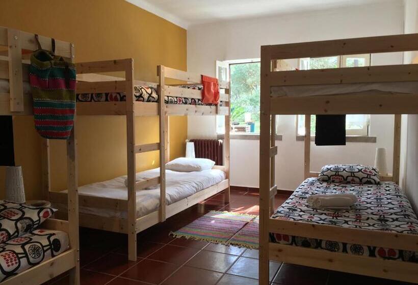 فندق Casa Do Páteo