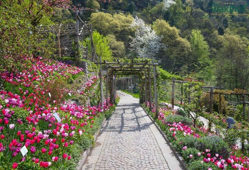 בית מלון כפרי Der Waldhof