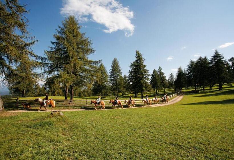 호텔 & Gasthof Zum Hirschen