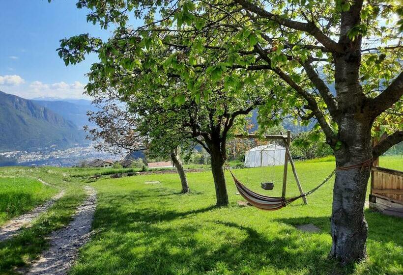 Отель Haflingerhof