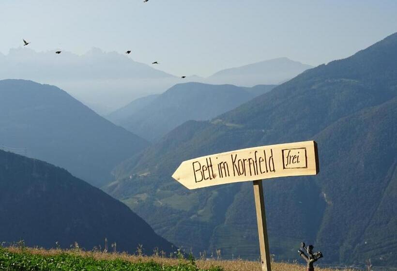 Отель Haflingerhof