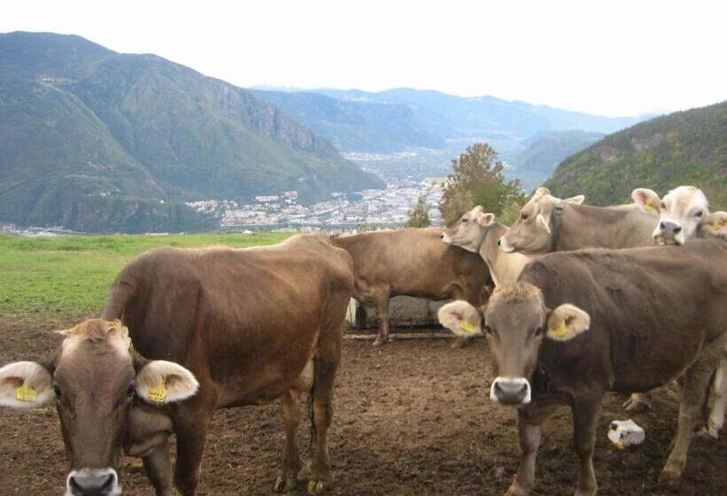 Отель Haflingerhof