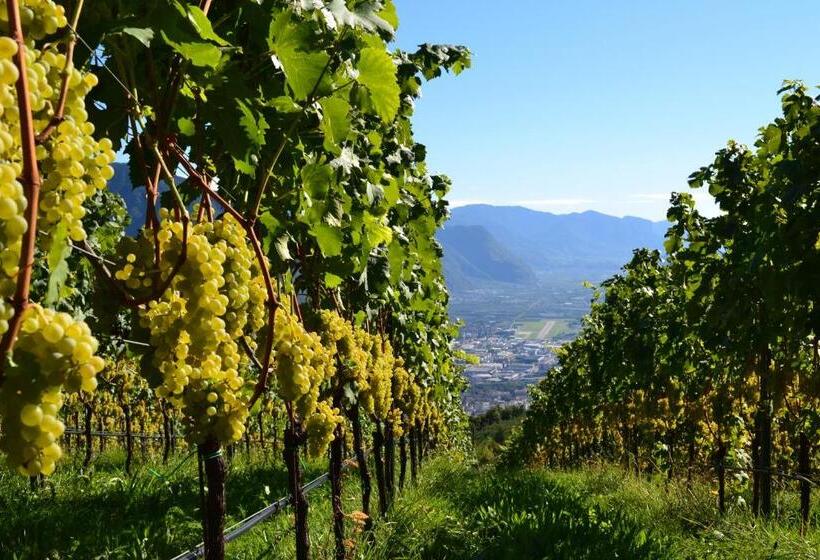 Отель Haflingerhof