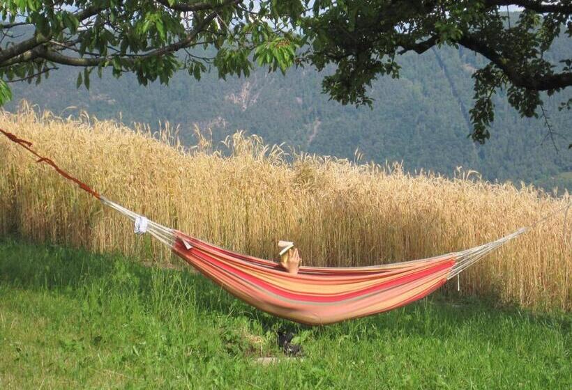 Отель Haflingerhof