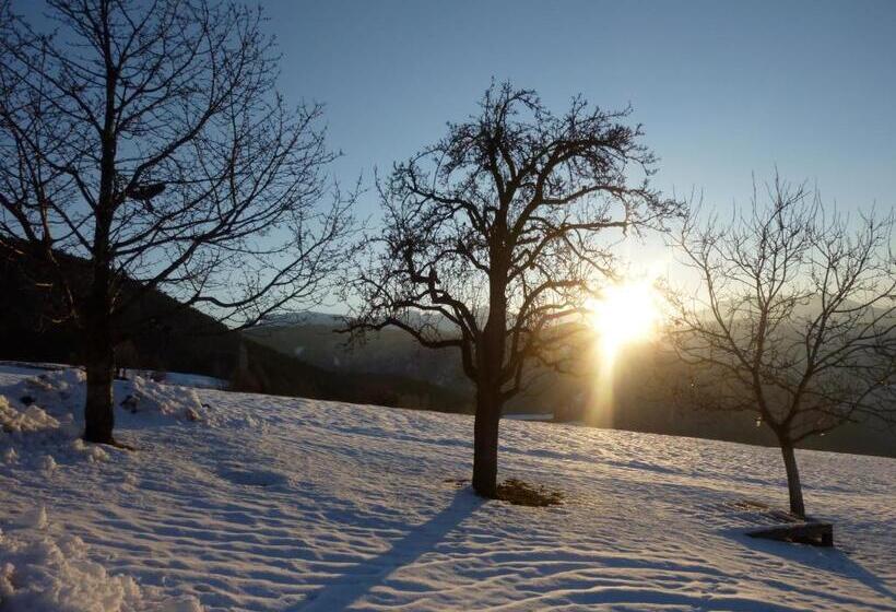 Отель Haflingerhof