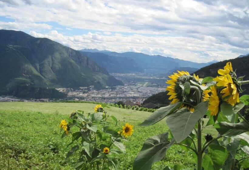 Отель Haflingerhof