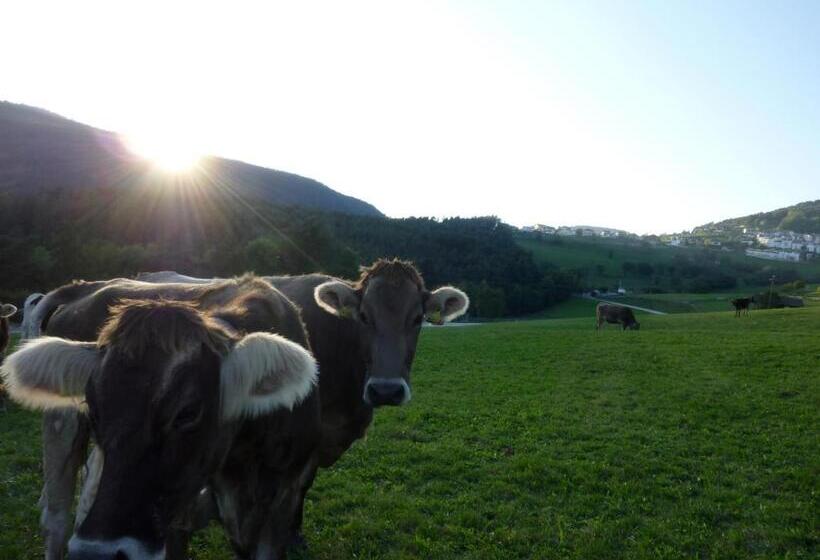 Отель Haflingerhof