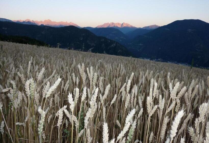 Отель Haflingerhof