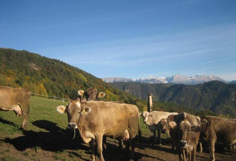 Отель Haflingerhof