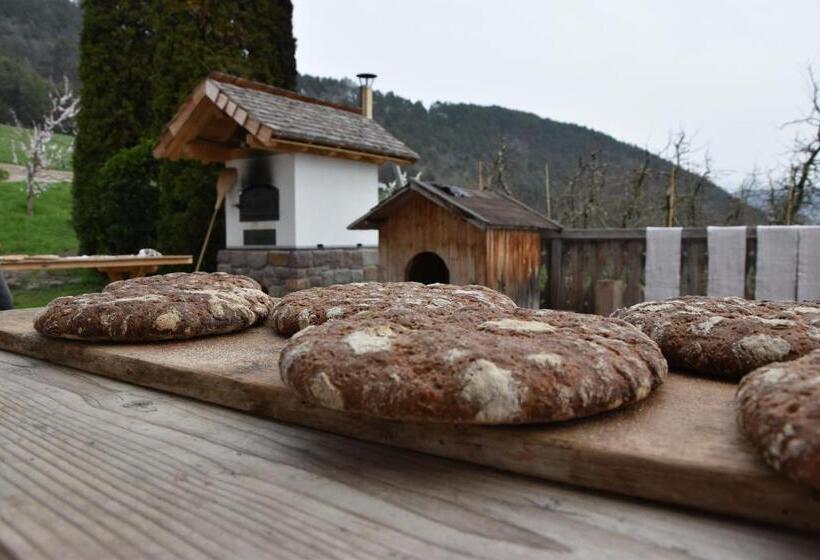 Отель Haflingerhof