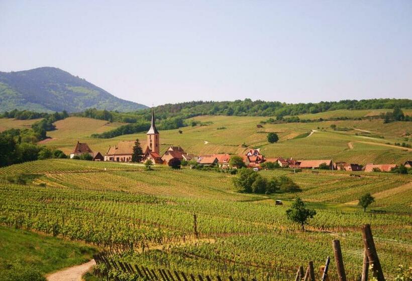 בית מלון כפרי Hôtel Winzenberg