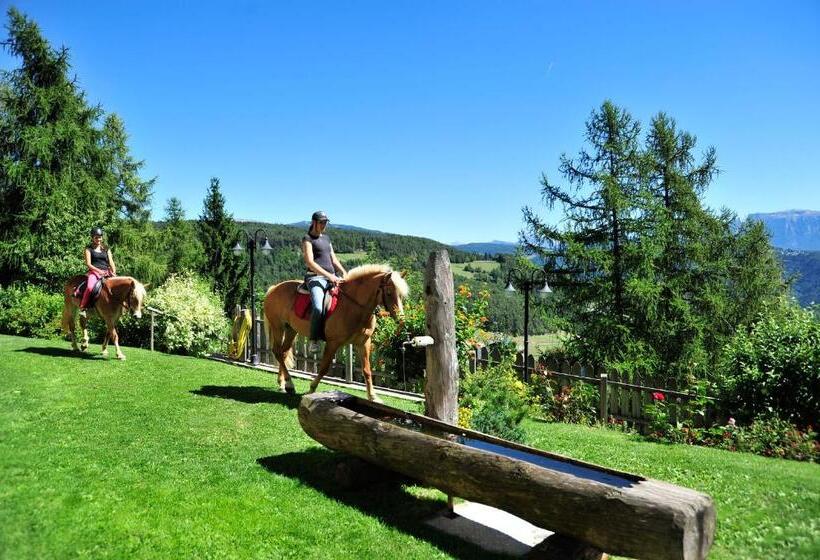 هتل König Laurin