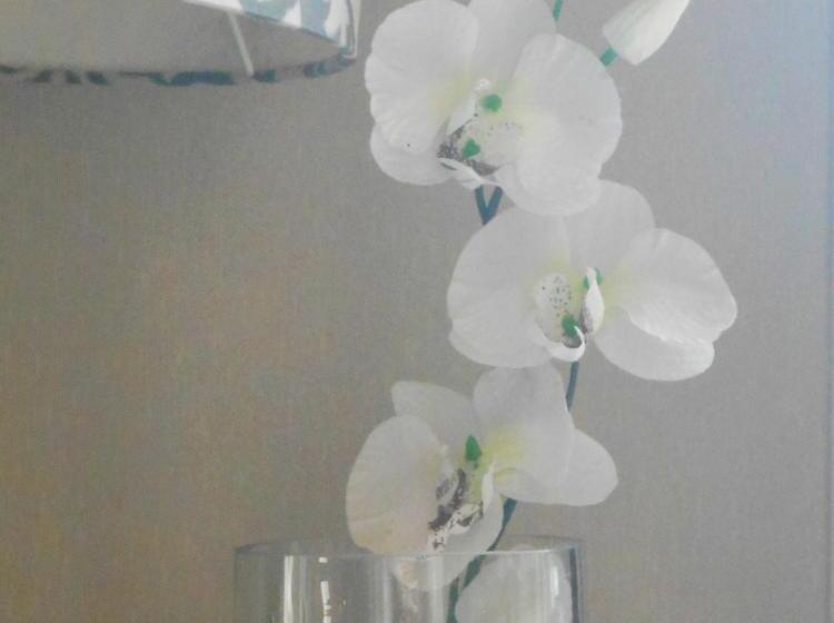 Logis Hotel Restaurant L Orée Des Bois