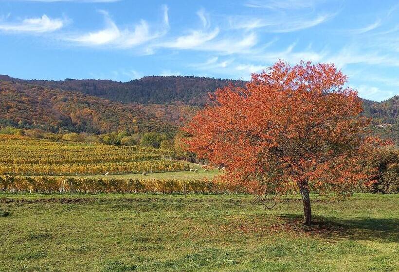 فندق Le Saint Vincent