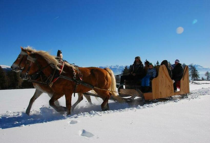 هتل Oberfahrerhof Jenesien
