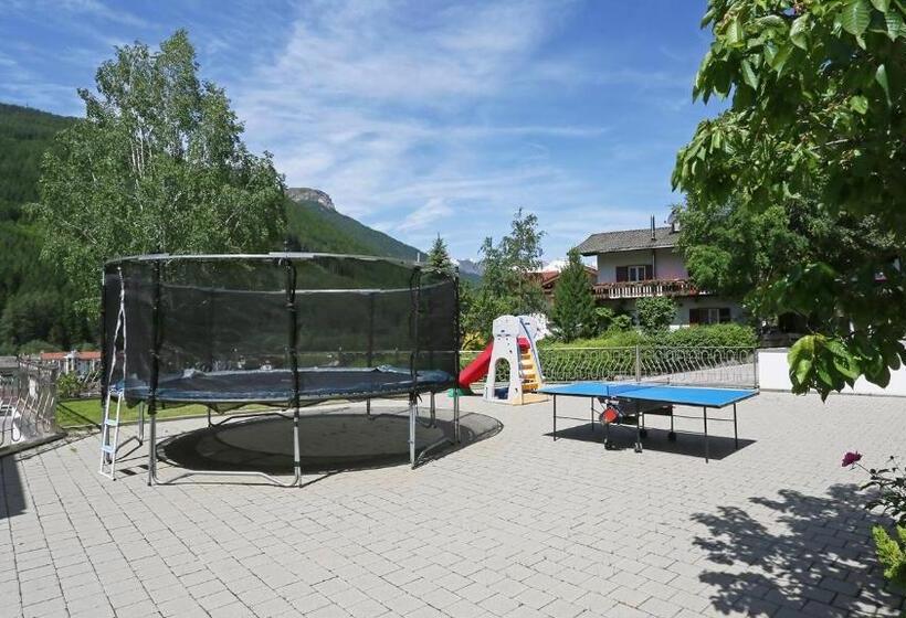 호텔 Pension Alpenhof B&b