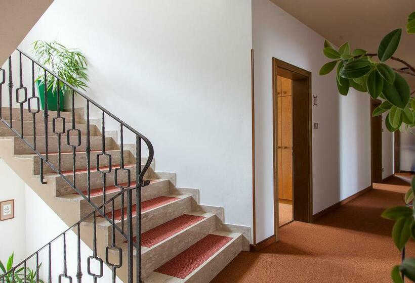 فندق Pension An Der Mayenburg