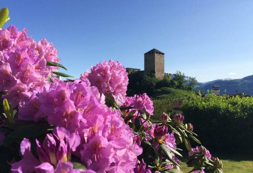 فندق Pension An Der Mayenburg