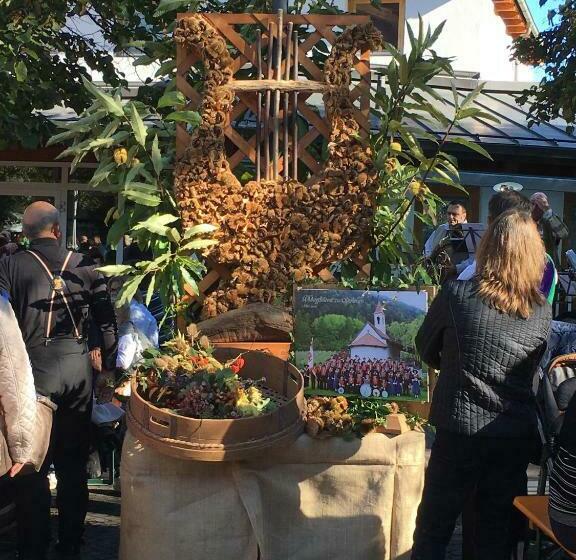 فندق Pension An Der Mayenburg