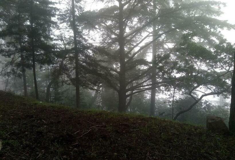 호텔 Quinta Das Aveleiras