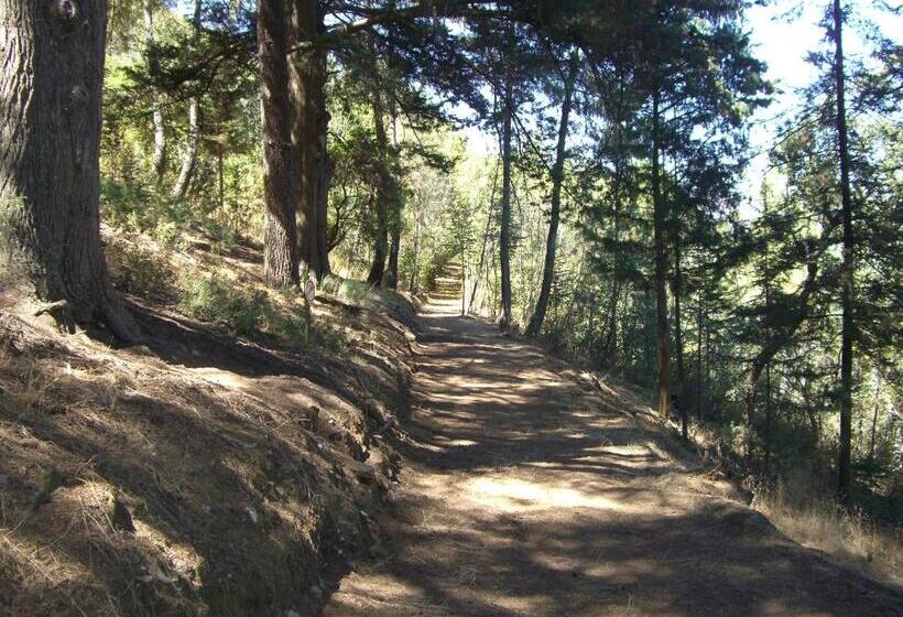 호텔 Quinta Das Aveleiras