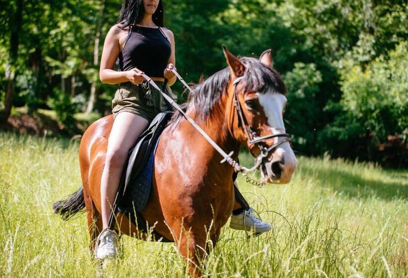 ホテル Quinta Do Rio Gerês