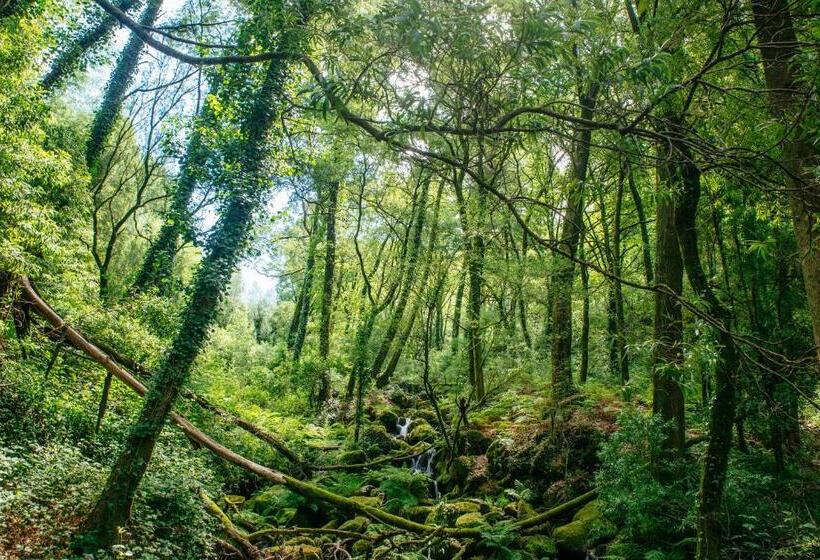 בית מלון כפרי Quinta Do Rio Gerês