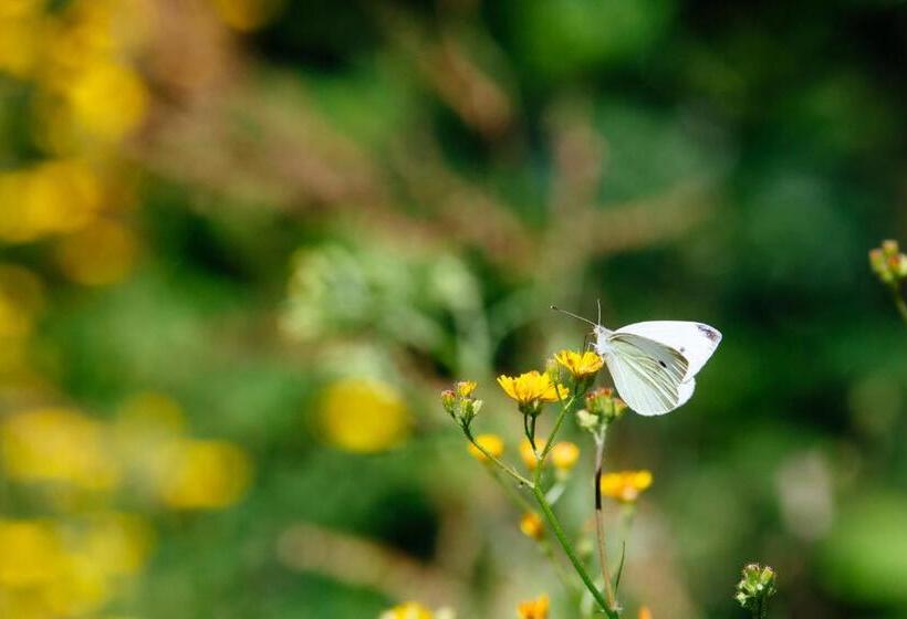 ホテル Quinta Do Rio Gerês