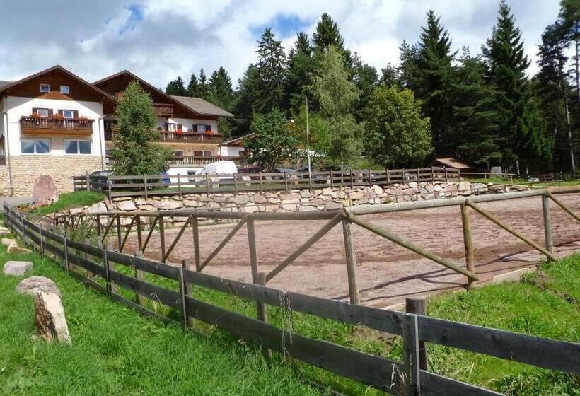 هتل Reiterhof Edelweiss